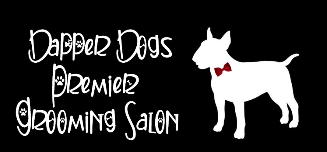 Dapper Dogs Premier Grooming Salon Home